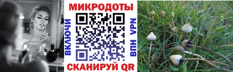 Псилоцибиновые грибы прущие грибы  МЕГА сайт  Талица 