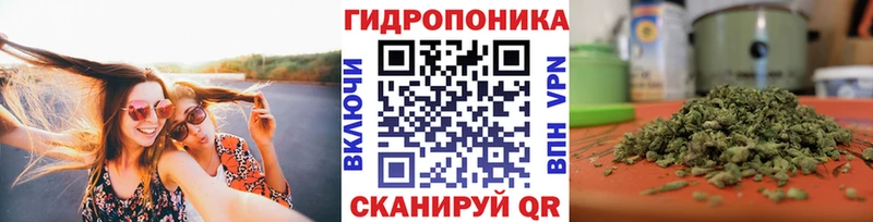 Бошки марихуана гибрид Талица